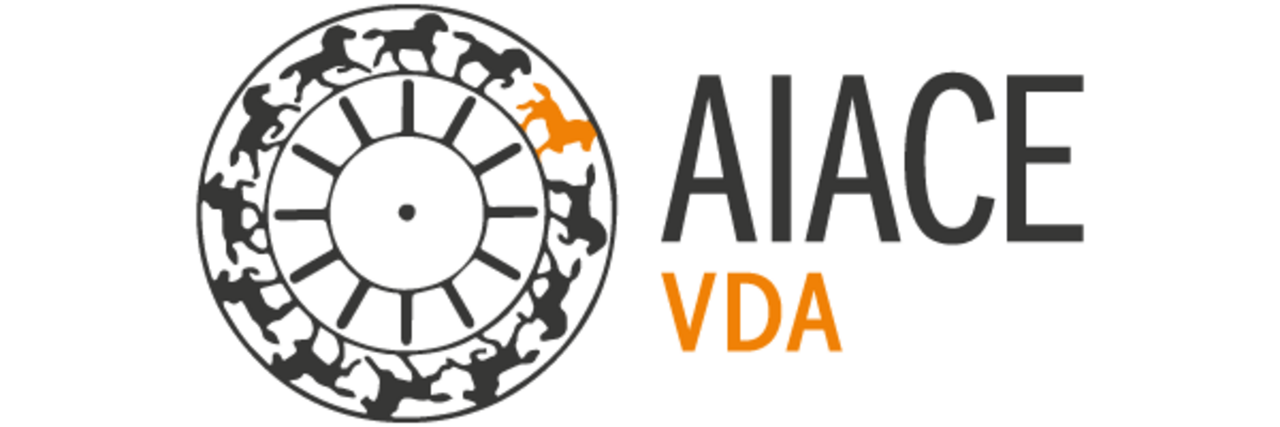Visita il sito ufficiale