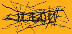 Enter the character string shown in the picture